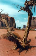 Monument Valley Geology