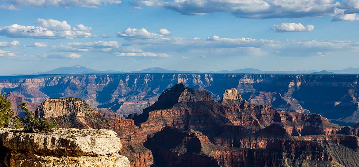 A region of the Grand Canyon National Park on a sunny day