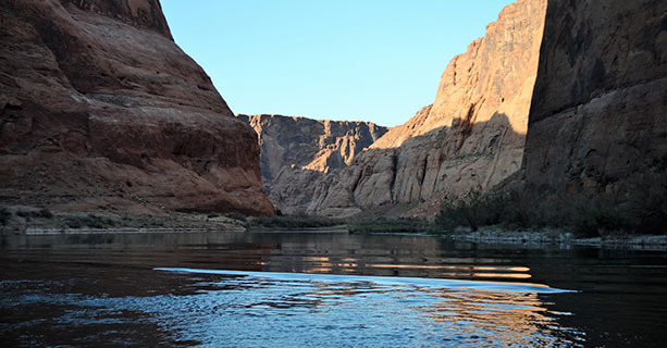 A group of people gaze at a canyon wall marked with ancient petroglyphs.