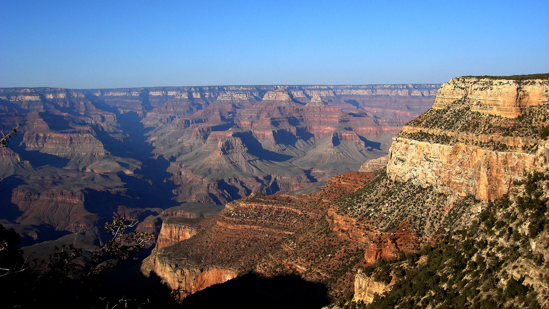 A view of the breathtaking expanse of the Grand Canyon.