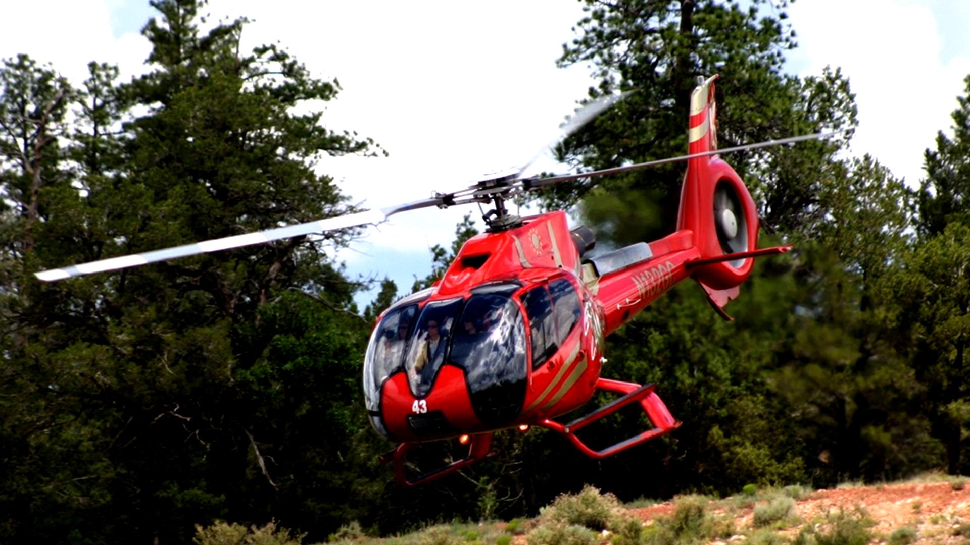 A red helicopter lands at the Grand Canyon with a forest in the background.