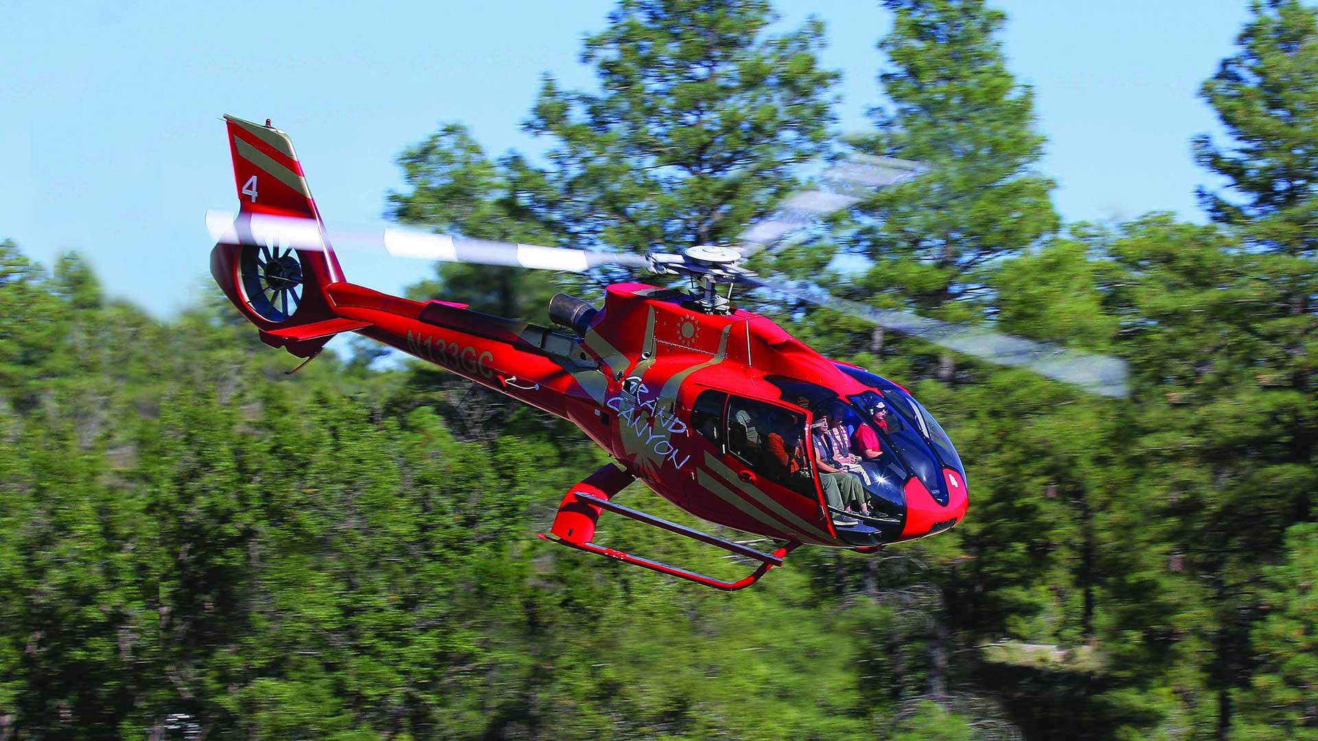 A helicopter soars through the Kaibab National Forest toward the Grand Canyon.