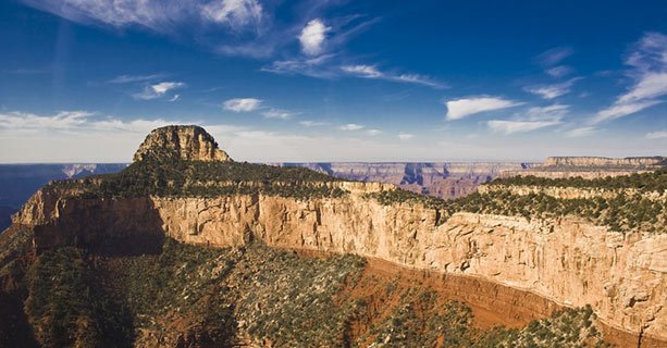 A region of the Grand Canyon that is covered with lush greenery.