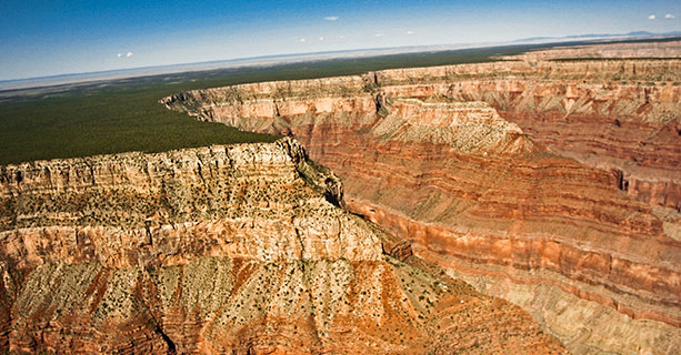 A region of the Grand Canyon blanketed by the Kaibab National Forest.